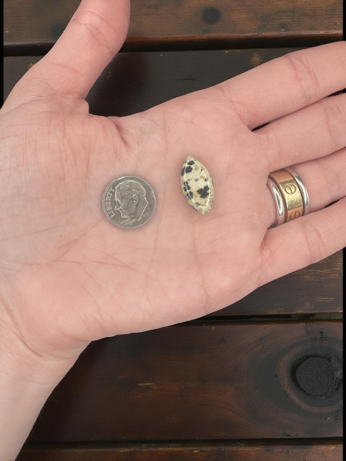 Dalmatian Jasper