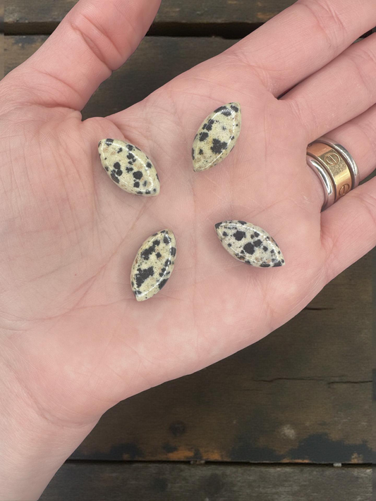 Dalmatian Jasper
